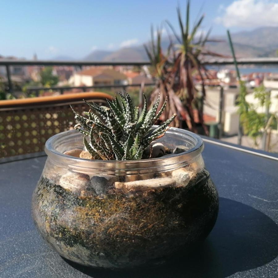 Argostoli Loft Aparthotel Eksteriør bilde